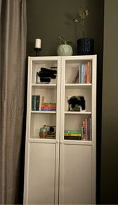 Ikea Billy Bookcase