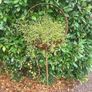Corten steel Garden Art Image 5