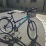 Ladies Bike Image 2