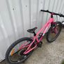 Childs Bike Cube Acid Race 260 Image 3