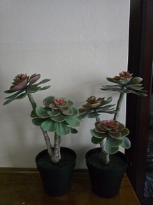 Ikea Plant decor