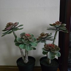 Ikea Plant decor