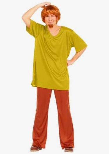 Scooby Doo Halloween Costumes - 4 Adult Costumes - Worn Once