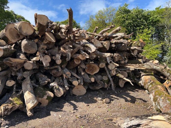 Timber