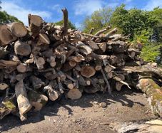 Timber