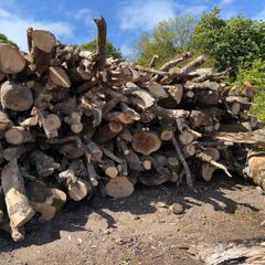 Timber