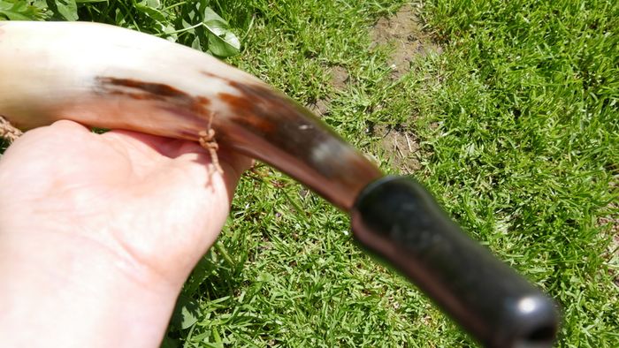Vintage Hunting Horn 12"