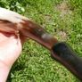 Vintage Hunting Horn 12" Image 3