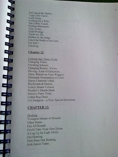 Typescript of a book on Castletown House Ireland Irish history Co. Kildare