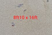 carpet 8ft10 x 16ft