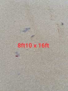 carpet 8ft10 x 16ft