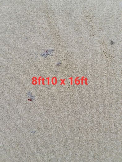 carpet 8ft10 x 16ft