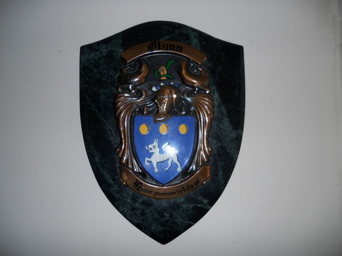 Vintage Coat of Arms , ("Flynn")
