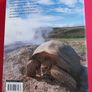 GALAPAGOS / B B C/ Natural History /1st edition, / 2006 Image 2