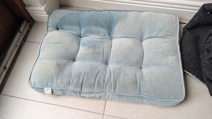 Dog bed