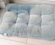 Dog bed