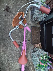 20" Kids Bicycle