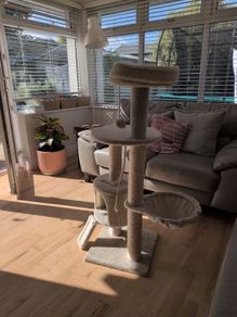 Cat Tree