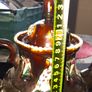 Antique Huge Measham Barge Ware Teapot circa 1890s Victorian English Treacle Glaze Image 8