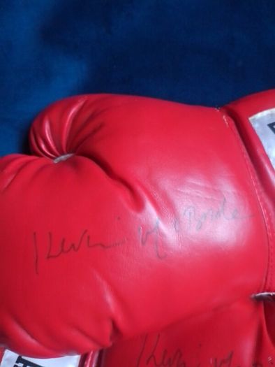 Autographed Kevin McBride Signed Everlast Boxing Gloves (Pair)