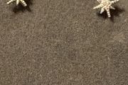 silver star earrings