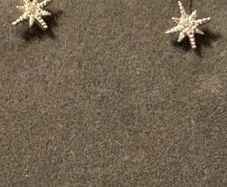 silver star earrings