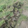 Grass slabs Image 2