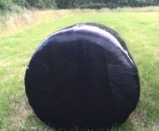 Silage bales