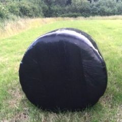 Silage bales