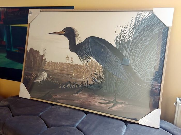 NEW 2 Large Format Framed Bird Artworks