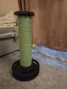scratch pole cat