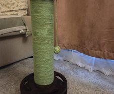 scratch pole cat