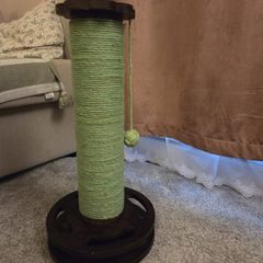 scratch pole cat