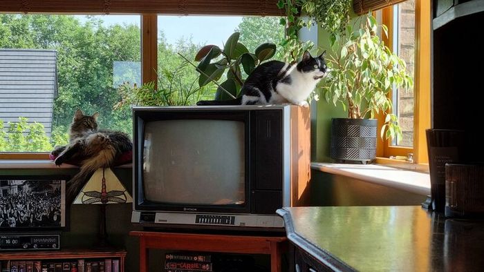 Crt Tv