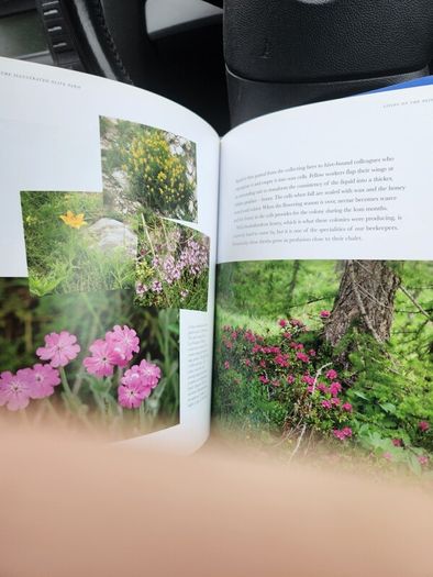 The Illustrated Olive Farm.by Carol Drinkwater. First Edition Hardback With Dustjacket In Good Condition. 38