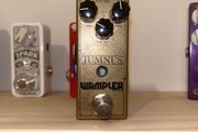 Wampler tumnus