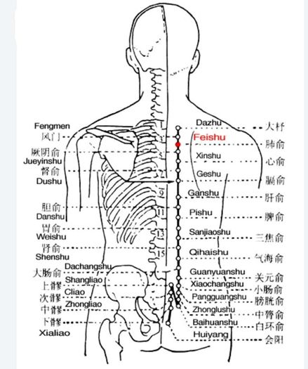Latus Asian Massage
