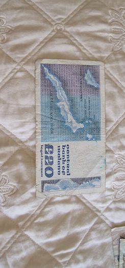 Irish Notes