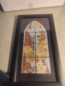 Framed dry leaves and flowers by Tree & Leaf Crafts, Knock vicar, Boyle, Co. Roscommon, Ireland.