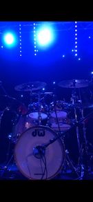 Dw Collectors Series Maple Drum Kit