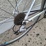 Giant racing bike. Image 5