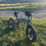 Fiido M1 Pro Electric Folding Bike Image 3