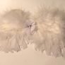 Baby angel wings fancy dress Image 4
