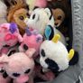 beanie boos Image 4