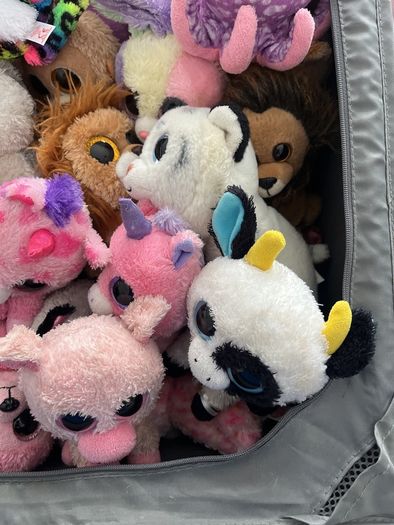 beanie boos