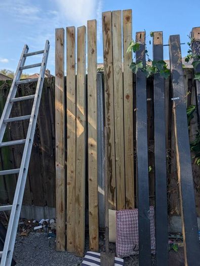 Eight 240cm lengths of 2x4 timber