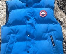 Canada Goose