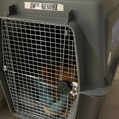 Sky Kennel 121x81x88