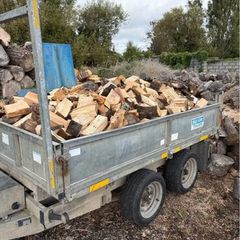 Firewood