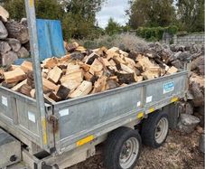 Firewood